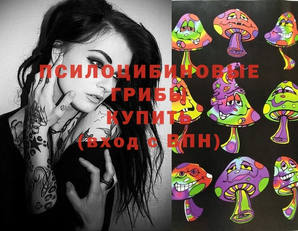 МДПВ Богданович