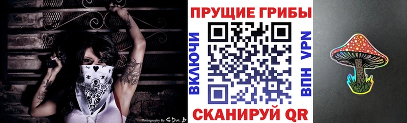 Псилоцибиновые грибы Psilocybe  Дагестанские Огни 